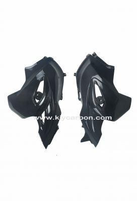 Motorcycle Part Carbon Side Panels for BMW G650GS