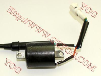 Motorcycle Parts Ignition Coil Ignition Comp. for Tvs Start Hlx125/Tvs Start Lf125