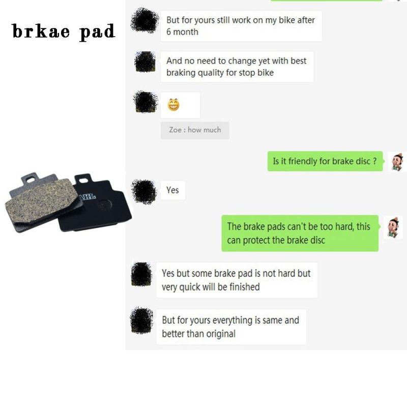 Fa604 Motorcycle Front Brake Pads for BMW S1000r