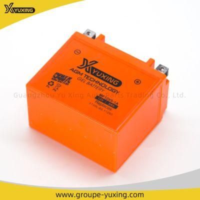 Hot Sale Motorcycle Parts Maintenance Free Battery: Mf12V5-1A