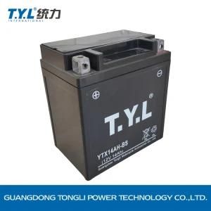 Ytx14ah-BS 12V13ah Maintenance Free Lead Acid Motorcycle Battery for BMW R1200 HP2