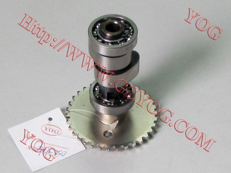Motorcycle Parts Motorcycle Camshaft for Titan 2000/Bws125