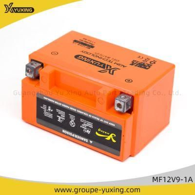 Motorcycle Parts Motorcycle Accessories Motorcycle Battery (MF12V9-1A)