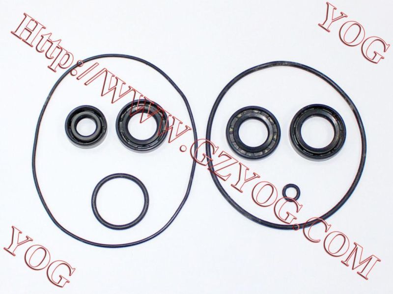 Motorcycle Engine Oil Seal Kit Bm150 Ax100 Cg125