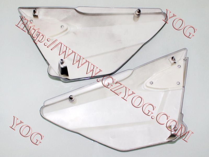 Motorcycle Spare Parts Oil Tank Fuel Tank Side Cover for Skr 200