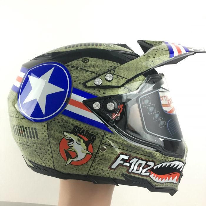 Fashion New Designed Cross DOT Motorcycle Casco Plastic Helmet for Motorcycle