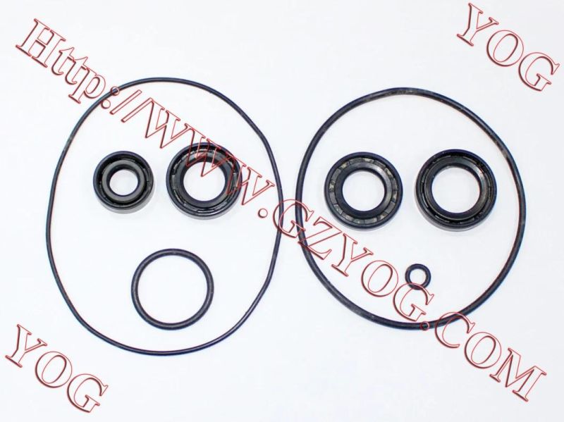 Motorcycle Engine Oil Seal Kit En125 Tvs Star Jh70