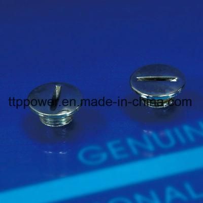 Universal Motorcycle Spare Parts, Motorbike Valve Cap, Motorcycle Valve Cover, Oil Screw