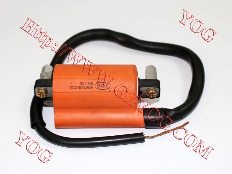 Motorcycle Spare Parts Ignition Coil for Bajaj CT100 Tvsstar Tmx155cdi