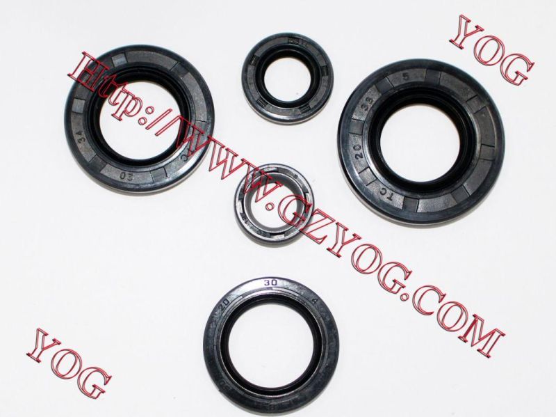 Motorcycle Engine Oil Seal Kit Dy100 Bm100 Cbf150