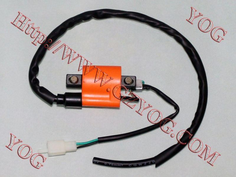 Motorcycle Spare Parts Ignition Coil for Bajaj CT100 Tvsstar Tmx155cdi
