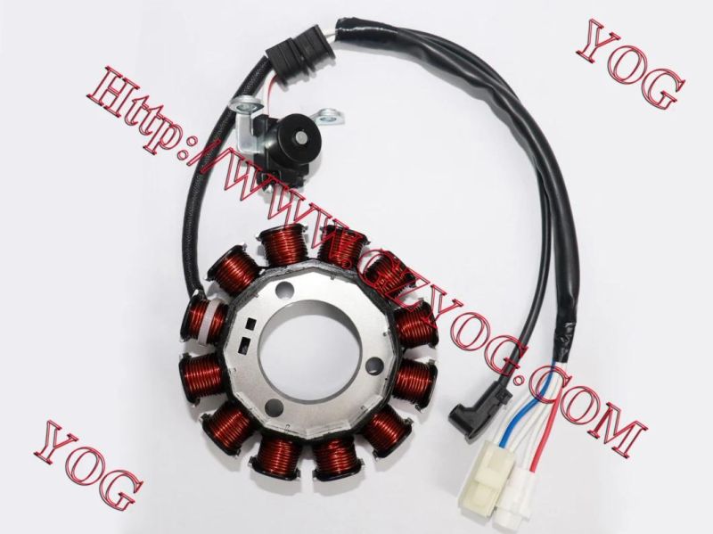 Yog Motorcycle Parts Motorcycle Magneto Coil/Stator Comp for Italika Ds125 (STATOR COMP. W/PLATE)