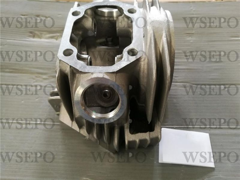 C120 Cylinder Head Fits for Zongshen Loncin Lifan Xingyuan Yinxiang 120cc Type Motorcycle