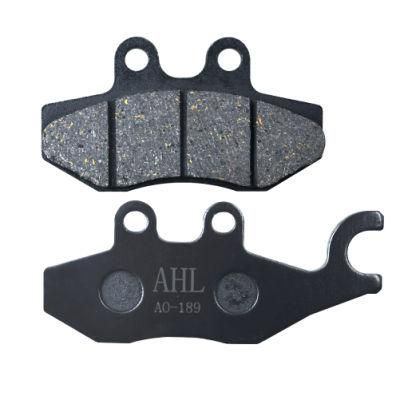Fa194 Motorcycle Spare Parts Brake Pad for Rieju Smx50 Mrx50
